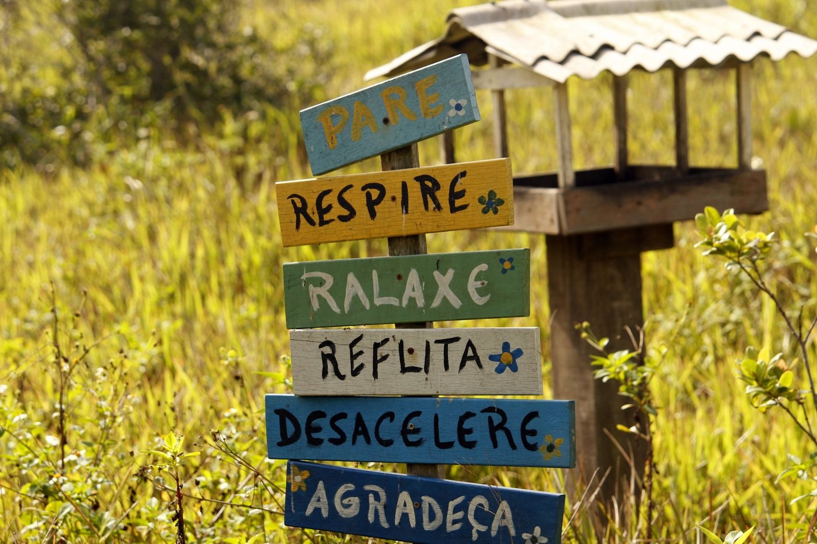 Alimente-se com Sabedoria: Os Benefícios da Culinária Vegetariana para sua Saúde e Bem-Estar