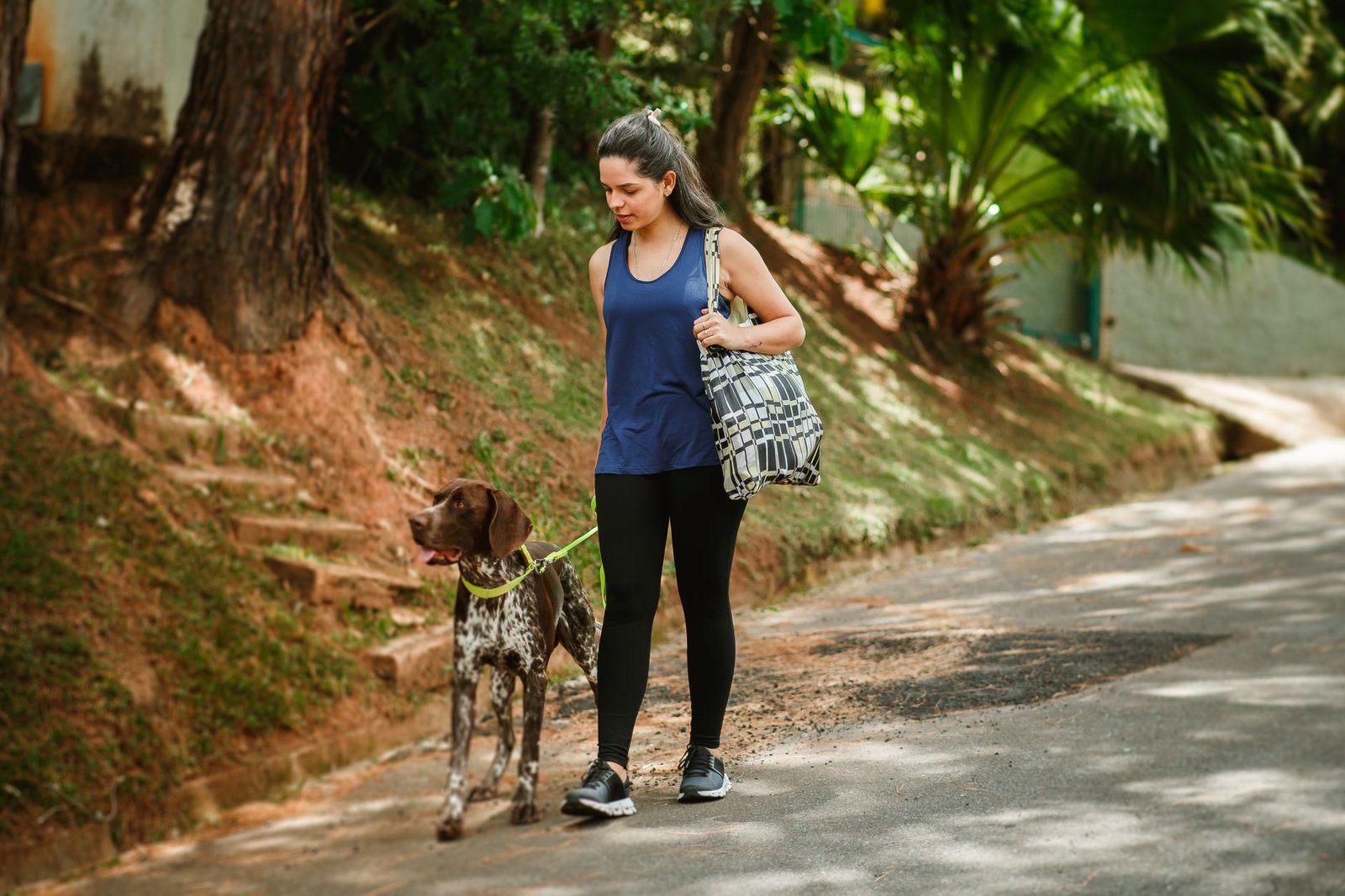 Caminhada diária: por que ela é perfeita para o fim do ano