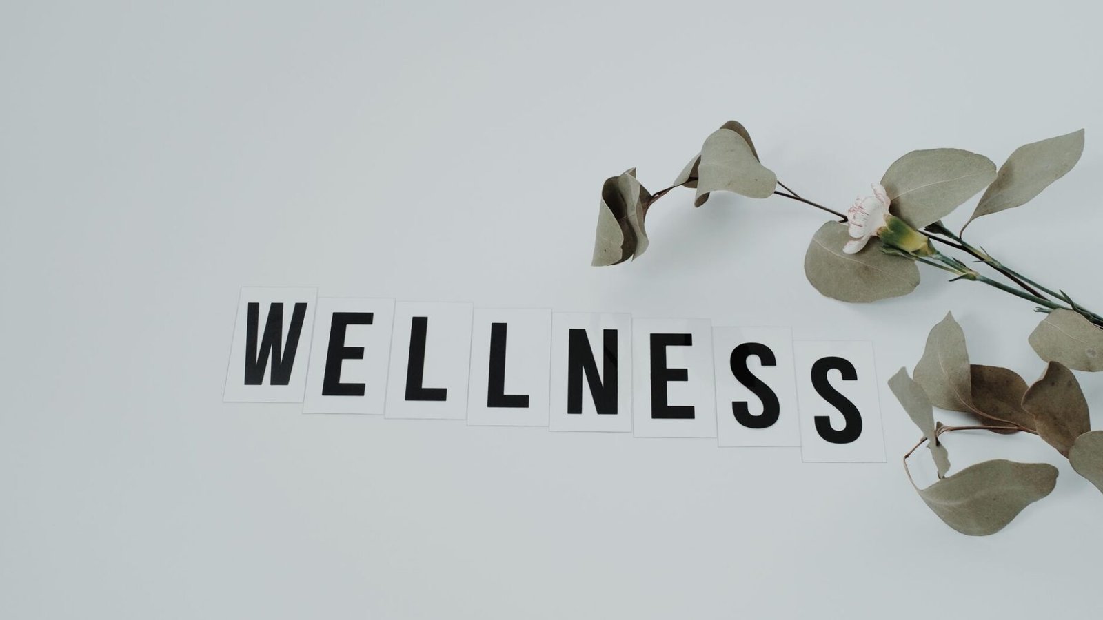 Meditação guiada para iniciantes: como começar sem experiência ou aplicativo pago