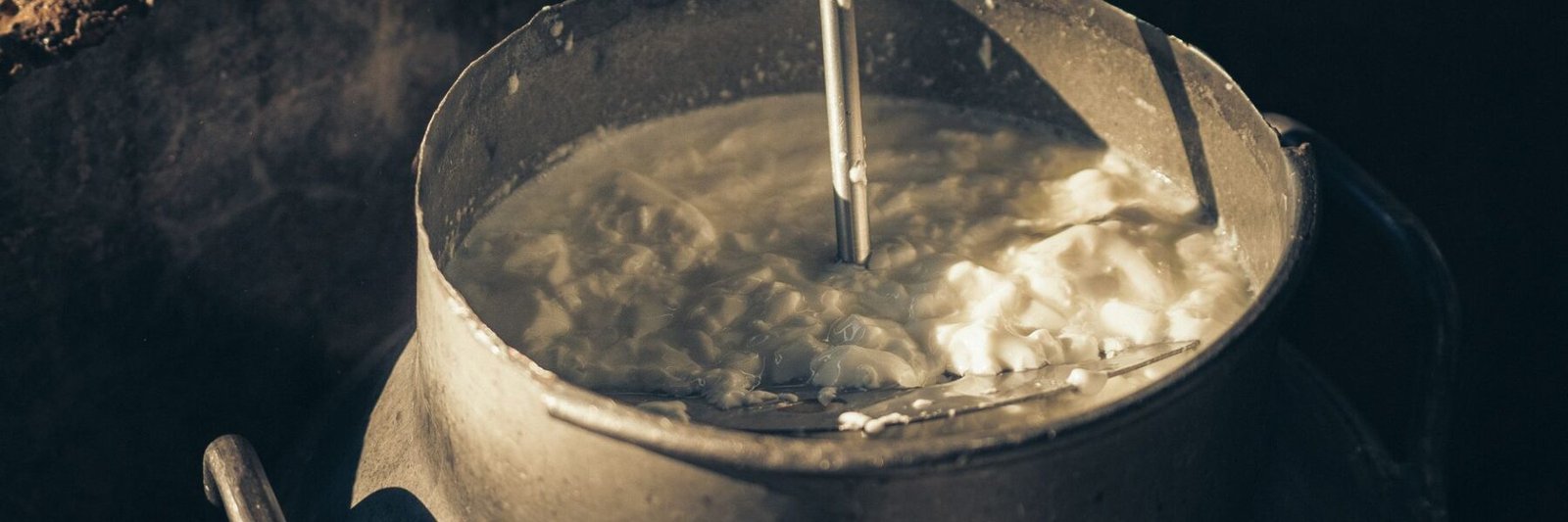 Cálcio em uma alimentação sem laticínios: fontes e cuidados importantes