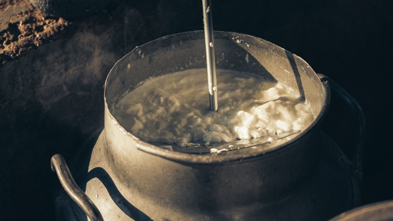 Cálcio em uma alimentação sem laticínios: fontes e cuidados importantes